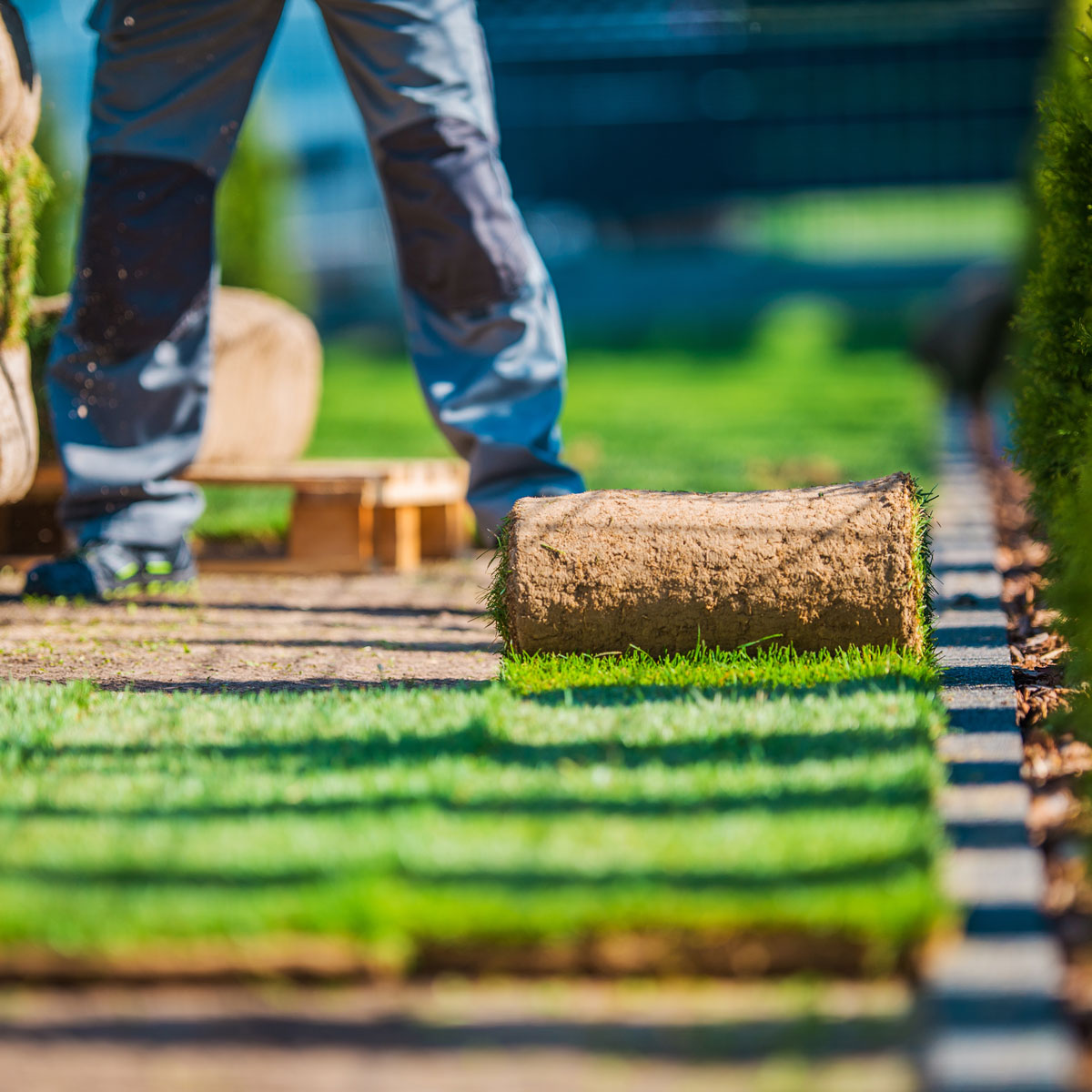 Landscape Construction